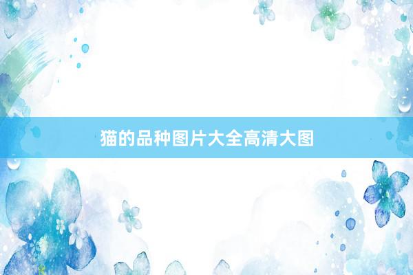 猫的品种图片大全高清大图